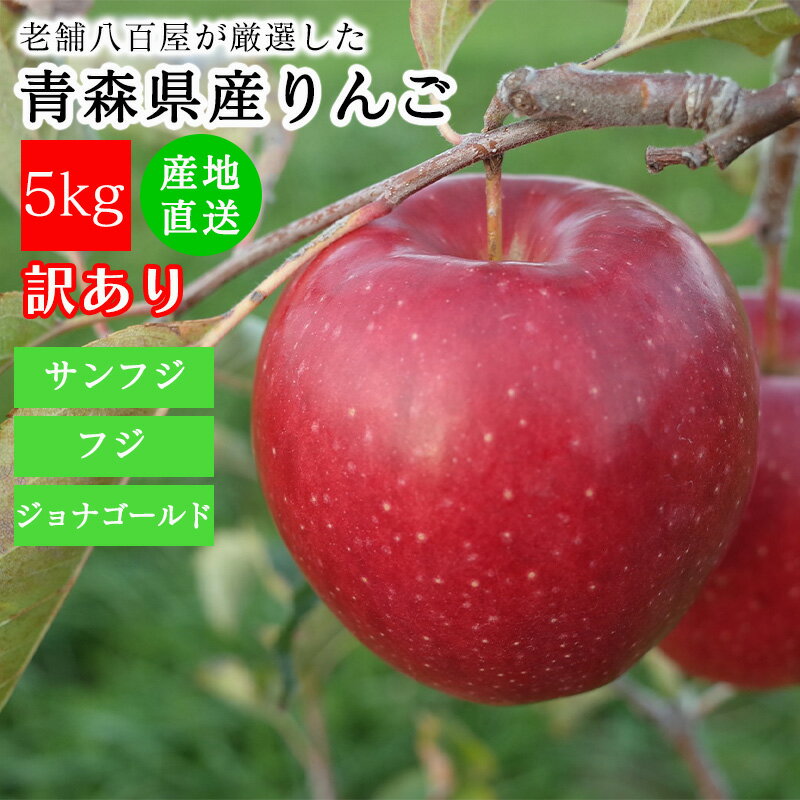 リンゴ りんご 訳あり 5kg 送料無料 青森県産 家庭用 キズあり おまかせ品種 サンフジ ふじ ジョナゴールド シナノゴールド 林檎 ご家庭用 果物 くだもの フルーツ アップル 箱 サイズ 不揃い 規格外 詰め合わせ 訳ありりんご 訳ありリンゴ 自宅用 箱買い 訳アリ