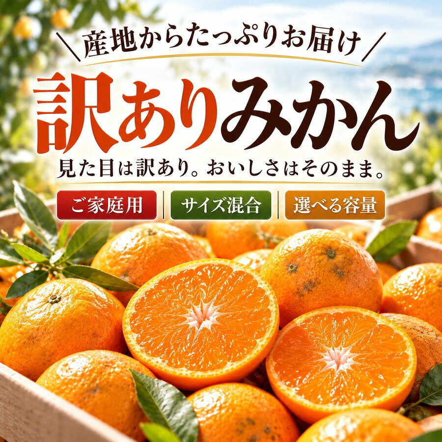 みかん 10kg 送料無料 訳あり 1.5kg 3kg 5kg 有田みかん 和歌山県産 ご家庭用 サイズ 不揃い 蜜柑 ミカン 箱 訳アリ 果物 傷 汚れ有 柑橘 mikan 有田 ありだ 和歌山 早生 中生 晩生 フルーツ わけあり 不ぞろい 完熟 国産 送料込 甘味 misawanoyasai-10000021 みさわのやさい サンプル画像2