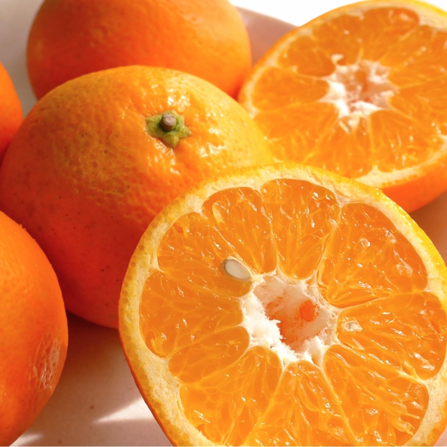 予約開始 (2月上旬頃から発送予定) いよかん 訳あり 5kg 10kg 伊予柑 愛媛県産 サイズお任せ スレ 汚れ 黒点あり