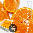 カラマンダリン 愛媛県産 2kg 5kg 10kg 訳あり みかん 送...(4)