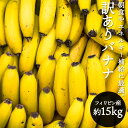 ＼クーポン利用で10％OFF／ バナナ ご家庭用 フィリピン産 約15kg 箱