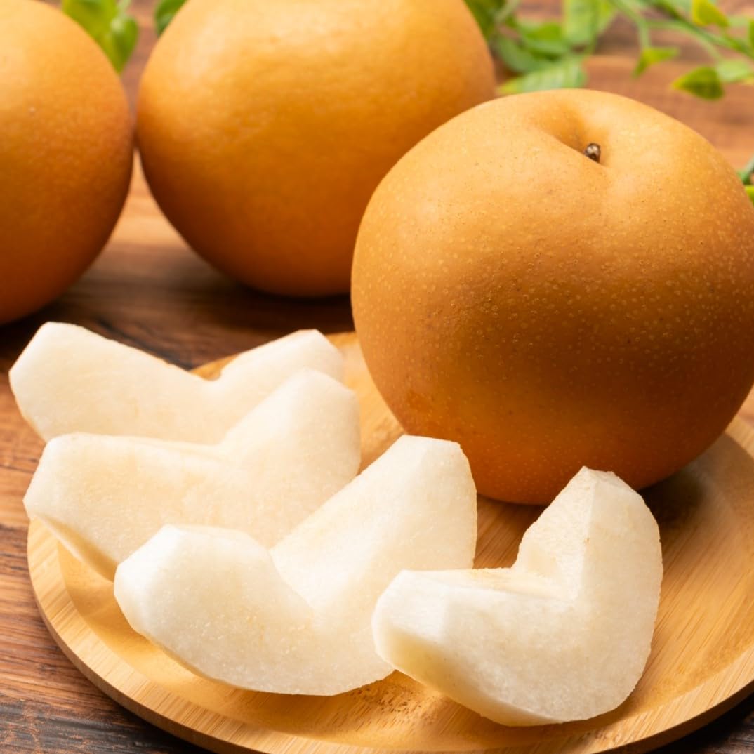 梨 訳あり ご家庭用 長野県産 約1.2kg5玉(鑑定書付き 化粧箱) 3kg 5kg 10kg 品種お任せ（ 幸水 豊水 南水 等のいずれか） なし 送料無料