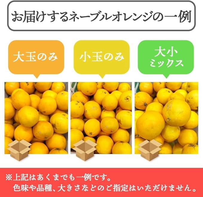 �͡��֥� ����� �� ������ ���縩�� 5kg 10kg ��·�� �䥱������