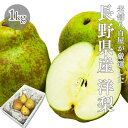洋梨 訳あり 長野県産 1kg 2kg 4kg 品種混在 品種お任せ ラ・フランス ル・レクチェ オーロラ 洋ナシ ご家庭用
