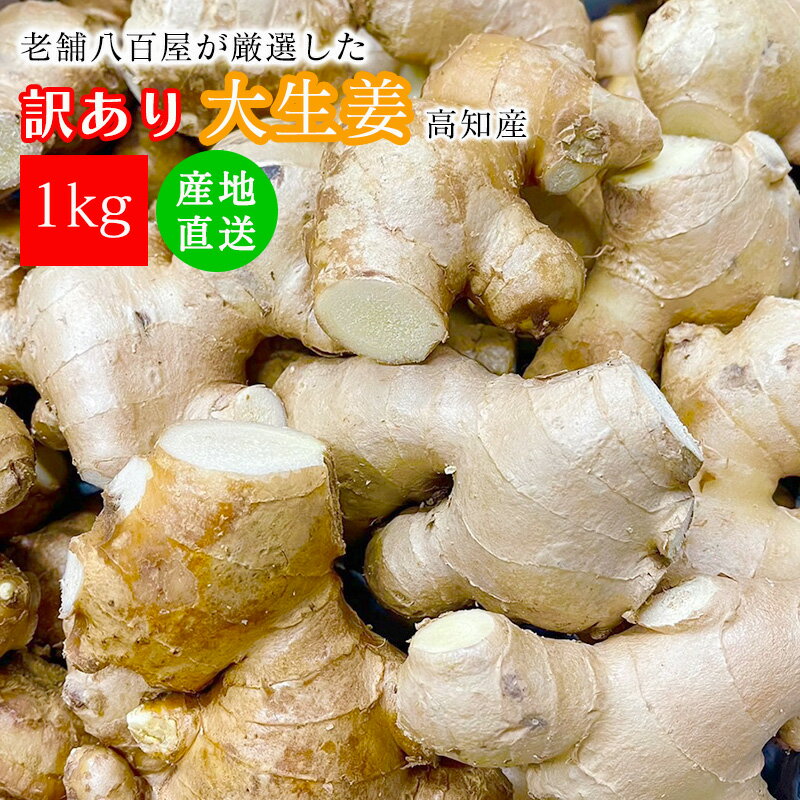 生姜 訳あり 1kg 高知県 美味しい 新鮮 おまかせ 野菜 生活 熨斗ラッピング対応 みさわの野菜 生姜 1キログラム 高知産 おいしい お買い得 送料無料 【商品説明】高知県は生姜の生産量全国NO1。その高知県で一般的に栽培されている生姜が「大生姜」。コブが大きく立派なのが最大の特徴。黄金生姜と異なり大生姜は、身が白く香りや辛みが少ないマイルドな味わい。三佐和がお送りする野菜で、お客様の普段の生活が少しでも健康的になればという思いで商品をお届けします。【内容量】1kg【生産地】高知産【賞味期限】生鮮品のためお早めにお召し上がりください【保存方法】風通しの良い涼しい日の当たらない場所や冷蔵庫の野菜室などに保存【お届け日につきまして】天候や収穫、入荷の変動等によりお届け予定日を前後する場合がございます。【備考】・ペーパレス化を推奨しておりますため、明細書等は同梱しておりません。明細書、領収書が必要な方は「購入履歴」より発行お願い致します。 2