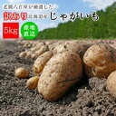 じゃがいも 5kg 訳あり メークイン 男爵 野菜 生活 新鮮 便利 美味しい 大きさ おまかせ 北海道産