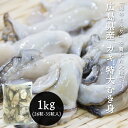 カキ 牡蠣 大粒 広島 冷凍 1kg ( 解凍後850g 約26～35粒 ) 加熱用 特大 生食不可 2L 3L サイズ むき身 ジャンボ 広島かき バラ凍結 かき 殻むき不要 流水解凍 kaki 剥き身 加熱 広島県産 広島県 食べ応え 1キロ 粒 大粒かき 手軽 調理 カキ鍋 バター焼き カキフライ 肉厚 海のミルク 広島湾 かき飯 【商品説明】冷凍ジャンボ剥きカキ日本一の生産量を誇る広島県の冷凍大粒かき。徹底した温度管理のもと、すぐに急速凍結した鮮度感抜群の冷凍粒がきです。 また12段階のサイズ選別を行っているため、粒ぞろいが良いのが特徴。 2L～3Lの特大サイズで抜群の食べ応え。バラバラで冷凍しているので食べる分だけ解凍できるので便利！全て剥き身なので、殻むきも不要で調理も手軽！ 解凍重量が850gと歩留まりが非常に高いこと、また急速冷凍で氷結晶が生成されにくいトンネルフリーザー凍結のため、鮮度が良いのも特徴です。【内容量】総重量1kg入/内容量解凍後850g（2L～3Lのみ、26粒〜35粒入）【生産地】広島県産【賞味期限】消費期限別途記載 解凍後はお早めにお召し上がりください。【保存方法】冷凍保存【輸送方法】 冷凍輸送 2