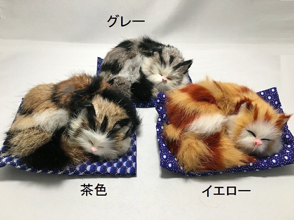 楽天市場】うたた寝 猫の通販