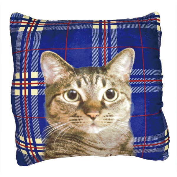 ����åȼ����쥯�å����