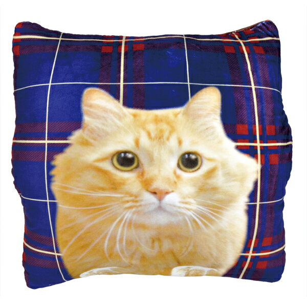 サイズ： 約W45×D16×L43cm 　材質：ポリエステル、ポリウレタン横から手を入れる仕様になっていてあったかなネコの両面プリントクッション。 スパンデックス生地を使用しているので、やさしい手触りです！