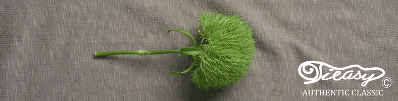 【2/25限定！カード＆SPU最大27倍】ティージー Tieasy オリジナルボートネックシャツ [te002 FW24] Tieasy ORIGINAL BOATNECK SHIRT メンズ トップス 長袖Tシャツ 日本製 オーガニックコットン MUSTARD 正規取扱店