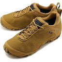 【30%OFF／SALE】メレル MERRELL カメレオン8 ストーム ゴアテックス M CHAMELEON 8 STORM GORE-TEX JPN [J035547 FW20] メンズ スニーカー BUTTERNUT ブラウン系【s】【e】