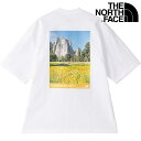 ザ・ノース・フェイス THE NORTH FACE メンズ ショートスリーブヨセミテシーナリーティー  S/S Yosemite Scenery Tee TNF トップス 半袖 Tシャツ アウトドア ホワイト 