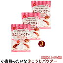 マテリス 小麦粉みたいな 米こうじパウダー 100g×3袋 セット 糀パウダー 生きた麹菌 麹パウダー 発酵しやすい 微粒粉 国産米100% 粉末 長持ち 甘酒...