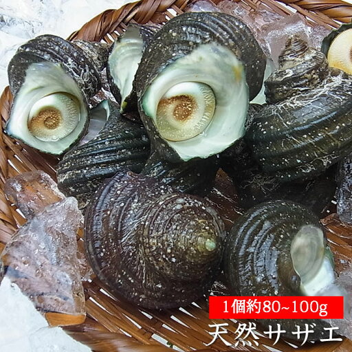 瀬戸内産 天然サザエ 1個約80-100g(冷蔵便)メガ盛り 大量 お刺身 バーベキュー 壺焼き 海鮮バーベキュー 花見 海鮮 お祝い お土産 さざえのつぼ焼 大きめ 魚介類 貝 さざえ 栄螺 BBQ 海鮮 食べ物 魚介 水産 瀬戸内産 天然サザエ 1個約80-100g(冷蔵便)メガ盛り 大量 お刺身 バーベキュー 壺焼き 海鮮バーベキュー 花見 海鮮 お祝い お土産 さざえのつぼ焼 大きめ 魚介類 貝 さざえ 栄螺 BBQ 海鮮 食べ物 魚介 水産