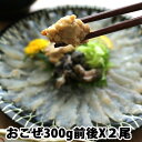 オコゼ 瀬戸内海産 300g前後X2尾 (冷蔵便) おこぜ 刺身 唐揚げ