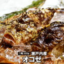 オコゼ 瀬戸内海産 1尾300g前後(冷蔵便) おこぜ 刺身 唐揚げ