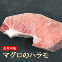 メバチ マグロ ハラミ(冷凍便) 生食 可能 刺身 バーベキュー ハラモ ハラス
