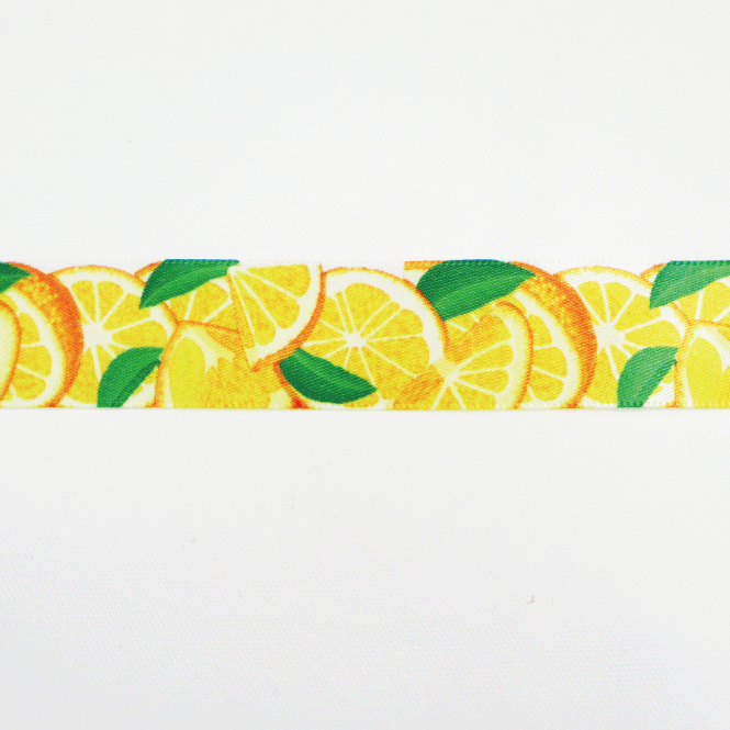 ڥܥۥ󥸡2.5cmҡաڲʪ/İ/ե/ǥ졼/åԥ///ץ///ϥɥᥤɡ