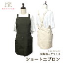 フローリスト ショートエプロン 撥水加工 ポケットたくさん M/L 2サイズ 敬老の日 機能的 無地 日本製 ガーデニング 母の日 プレゼント 贈答用 ギフト ...