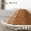 《長崎麦みそ 麦の波》甘口 粒 淡色 塩分控えめ 減塩 無添加 国産原料 裸大麦 やさしい 九州