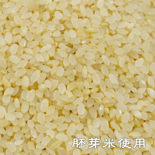 《順天 500g》じゅんてん 中甘口　胚芽米　追い麹　国産原料 ジュンテン ジュンテン 3