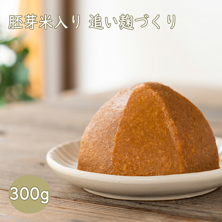 《順天 300g》じゅんてん 中甘口　胚芽米　追い麹　国産原料　ジュンテン ジュンテン