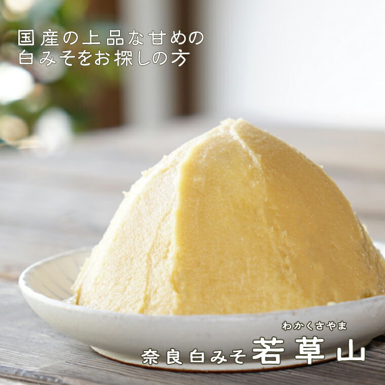 マルコメ 業務用 プロ用 だし入り 白 1kg 10袋