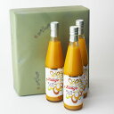 《No.153 マンゴードリンク500ml 3本セット》お中元お歳暮 贈答ギフト 暑中見舞い残暑見舞い