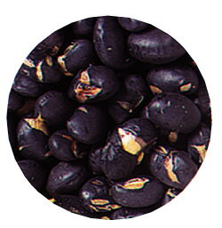 ��ð�ȹ���Ʀ����Ʀ�ռ�κ衡�Ĥޤߡ����ۻҡ������ѡ��ա�����Ʀ