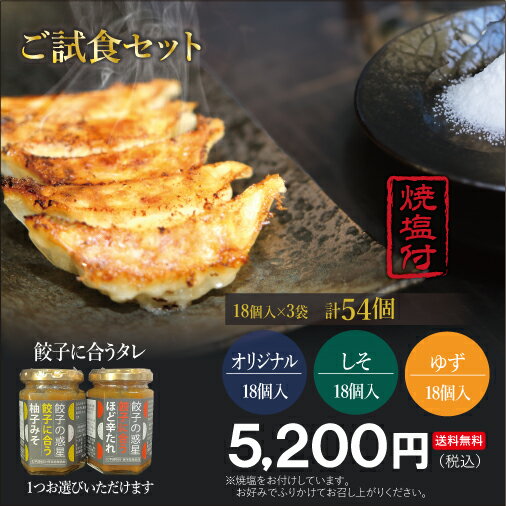 【餃子の惑星】ご試食セット 54個入 冷凍餃子 オリジナル しそ ゆず 焼塩付 みそたれ 餃子 ぎょうざ ギョウザ 冷凍 国産 送料無料 人気 ギョーザ 冷凍餃子 ギフト おつまみ 国内野菜 国産豚肉