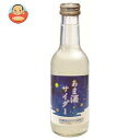 寿屋清涼食品 あま酒サイダー 250ml瓶×24本入