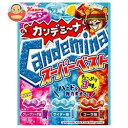 【送料無料】【2ケースセット】カンロ カンデミーナグミ スーパーベスト 72g×12(6×2)袋入×(2ケース) ※北海道・沖縄は別途送料が必要。 【送料無料】【2ケースセット】カンロ カンデミーナグミ スーパーベスト 72g×12(6×2)袋入×(2ケース) ※北海道・沖縄は別途送料が必要。