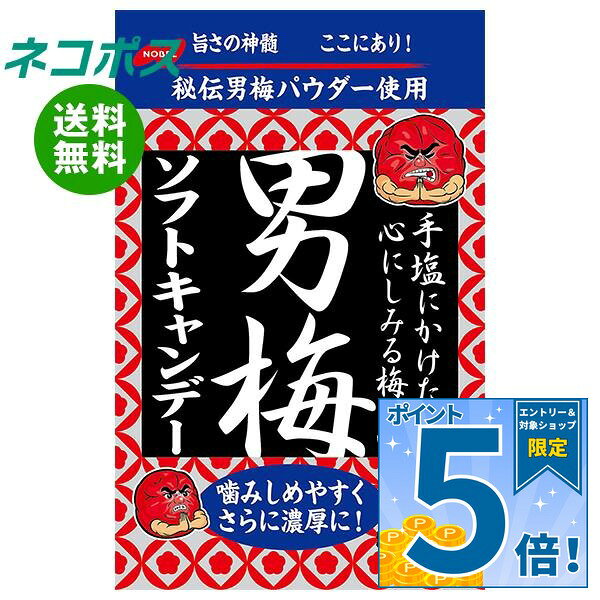 必ずお読みください ※こちらの商品は、ポストに投函します「ネコポス」にて発送します。 　ドライバーから手渡しではないので不在時でも受け取れます。 　ご注意下さい！ポストに入らない場合は持ち戻ります。 ※お届け日、配達時間のご指定はできません。 ※代金引換での発送はできません。 ※他の商品と同梱する事はできません。 　他の商品とご注文を頂いた場合、別途送料が発生します。 ※ご住所は建物名・部屋番号までお書き下さい。 　ご記入がない場合、返品となります。 ※熨斗（のし）・ギフト包装には対応しておりません。 ※商品発送後のキャンセル、またはお客様のご都合による返品・交換はお受けできません。 JANコード:4902124072771 原材料 砂糖(国内製造)、水飴、梅干しパウダー、食用精製加工油脂、食塩、ゼラチン/酸味料、ソルビトール、増粘剤(アラビアガム)、乳化剤、調味料(アミノ酸等)、香料、ステアリン酸カルシウム、甘味料(アスパルテーム・L-フェニルアラニン化合物)、着色料(アントシアニン、紅麹)、(一部にゼラチンを含む) 栄養成分 (1袋(35g)当たり)エネルギー127kcal、たんぱく質0.23g、脂質1.28g、炭水化物29.34g、食塩相当量2.20g 内容 カテゴリ：お菓子、飴・キャンディー、袋サイズ：165以下(g,ml) 賞味期間 (メーカー製造日より)12ヶ月 名称 キャンデー 保存方法 直射日光、高温多湿を避けて保存してください。 備考 製造者:ノーベル製菓株式会社大阪市生野区巽北4丁目10番2号 ※当店で取り扱いの商品は様々な用途でご利用いただけます。 御歳暮 御中元 お正月 御年賀 母の日 父の日 残暑御見舞 暑中御見舞 寒中御見舞 陣中御見舞 敬老の日 快気祝い 志 進物 内祝 御祝 結婚式 引き出物 出産御祝 新築御祝 開店御祝 贈答品 贈物 粗品 新年会 忘年会 二次会 展示会 文化祭 夏祭り 祭り 婦人会 こども会 イベント 記念品 景品 御礼 御見舞 御供え クリスマス バレンタインデー ホワイトデー お花見 ひな祭り こどもの日 ギフト プレゼント 新生活 運動会 スポーツ マラソン 受験 パーティー バースデー