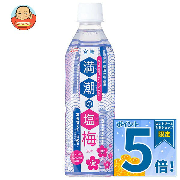 [ポイント5倍！9/11(金)1時59分まで全品対象エントリー&購入]サンA 満潮の塩梅 490mlペットボトル×24本入×(2ケース)…