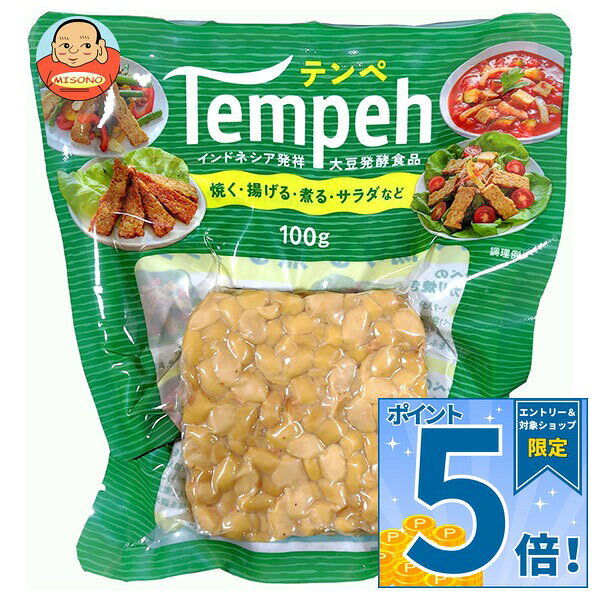 [ポイント5倍！9/19(土)20時〜全品対象エントリー&購入]ヤマク食品 テンペ 100g×10袋入×(2ケース)｜ 送料無料 インドネシア 大豆 発酵 発酵食品