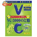 m[x VC-3000̂ǈ }XJbg 90g~6ܓb  َq ELfB[  mVK[ r^~C