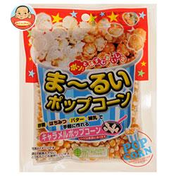 楽天飲料 食品専門店 味園サポートサンコク ま～るいポップコーン 100g×10袋入×（2ケース）｜ 送料無料 お菓子 スナック ポップコーン