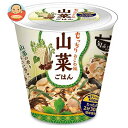 送料無料 幸南食糧 旬 de riz 山菜ごはん 160g×12個入 ※北海道・沖縄は別途送料が必要。