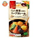 モランボン ごろごろ野菜で作る スープカレー用スープ 750g×10袋入×(2ケース)｜ 送料無料 調味料 カレー やさい 中辛 ストレート