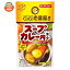 ダイショー CoCo壱番屋監修 スープカレー用スープ 750g×10袋入×(2ケース)｜ 送料無料 一般食品 調味料 鍋スープ カレー