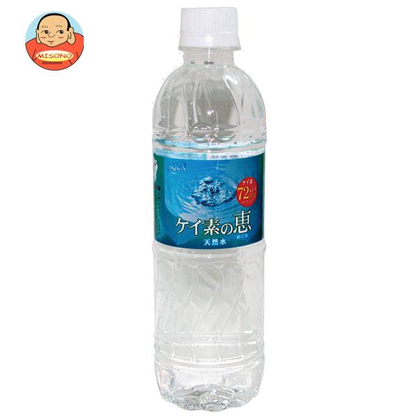 ケイ素の恵 天然水 鉱水 ミネラルウォーター 国内名水