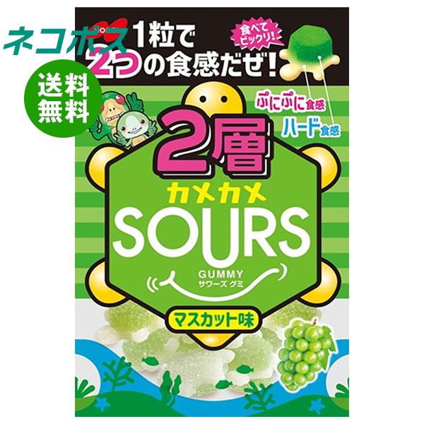 [ポイント5倍！7/26(金)1時59分まで全品対象エントリー&購入]【全国送料無料】【ネコポス】ノーベル製菓 2層カメカメサワーズ(SOURS) マスカット 45g×6個入｜ お菓子 グミ 弾力ハードグミ おやつ マスカットのサムネイル