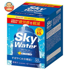 【6月11日(土)1時59分まで全品対象エントリー&購入でポイント5倍】クラシエフーズ スカイウォーター グレープフルーツ味 1L用 (15g×2×5袋)×1箱入×2箱｜送料無料 熱中症対策 クエン酸 スポーツドリンク 粉末