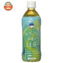 ゴールドパック 北アルプス茶屋の緑茶 500mlペットボトル×24本入| 送料無料 茶飲料 緑茶