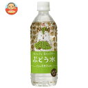 ゴールドパック 北アルプス清らか天然水 ぶどう水 500mlペットボトル×24本入×(2ケース)| 送料無料 水 ミネラルウォーター グレープ