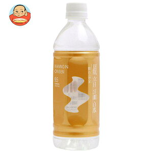 滝野川自動車 飲む温泉 観音温泉 500mlペットボトル×24本入×(2ケース)| 送料無料 ミネラルウォーター 国内名水 軟水 PET