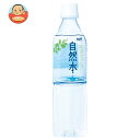 サーフビバレッジ 自然水 500mlペットボトル×24本入×(2ケース)| 送料無料 ミネラルウォーター 水 天然水 ペットボトル