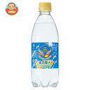 チェリオ 強炭酸水 レモン 500mlペットボトル×24本入×(2ケース)| 送料無料 強炭酸 炭酸水 500ml 炭酸 割り材 シリカ レモン