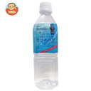 天然シリカ水 さひめの泉 500mlペットボトル×24本入| 送料無料 ミネラルウォーター 水 PET 鉱水 軟水